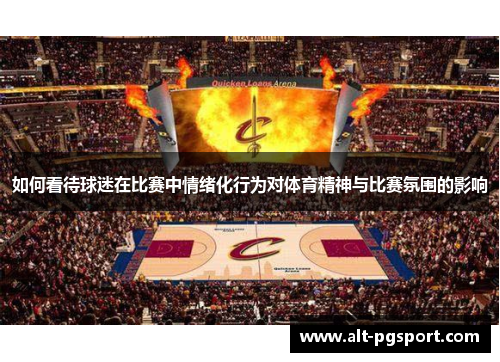 如何看待球迷在比赛中情绪化行为对体育精神与比赛氛围的影响