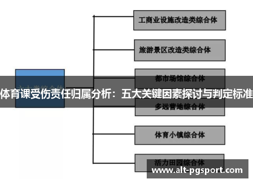 体育课受伤责任归属分析：五大关键因素探讨与判定标准