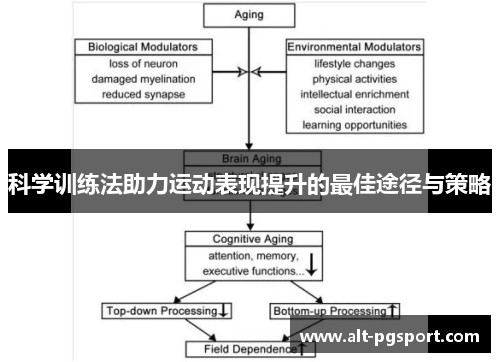 科学训练法助力运动表现提升的最佳途径与策略