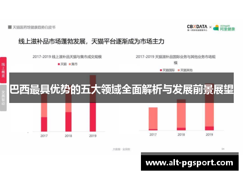 巴西最具优势的五大领域全面解析与发展前景展望