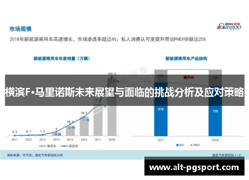 横滨F·马里诺斯未来展望与面临的挑战分析及应对策略