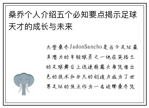 桑乔个人介绍五个必知要点揭示足球天才的成长与未来